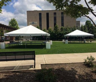 Tent Rentals 16
